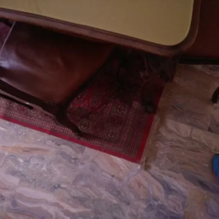 Appartement Gran Paradiso Huge In *